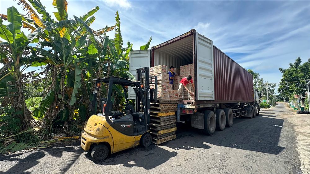 Xe nâng xếp hàng lên xe tải